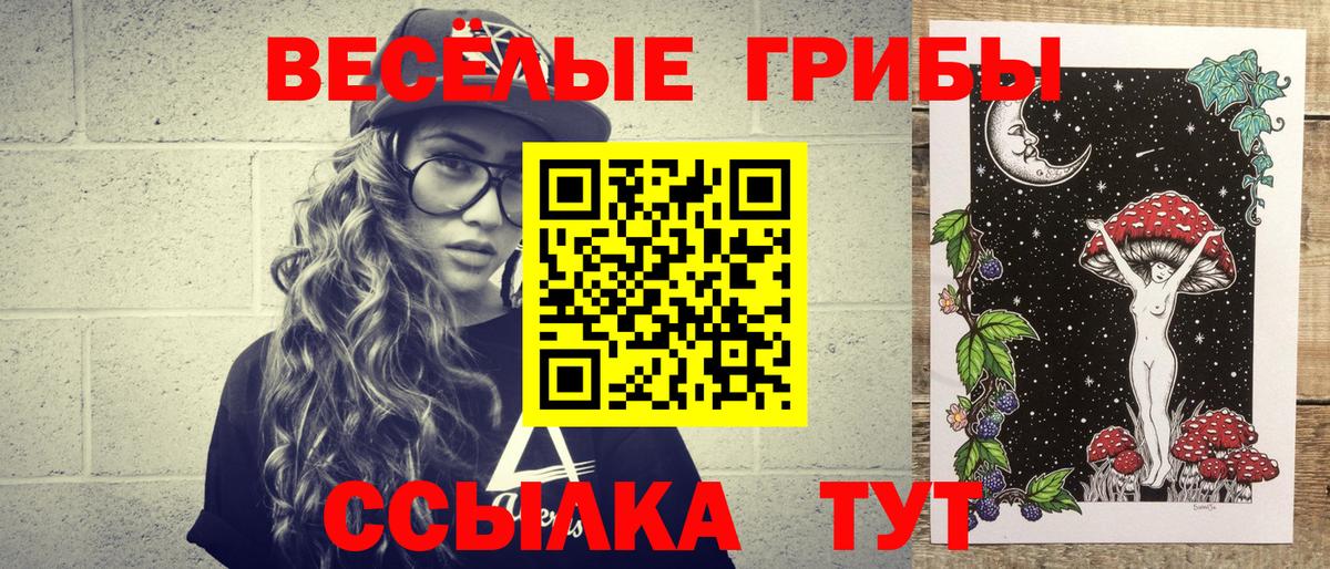 наркотики  Псилоцибиновые грибы ЛСД  Вход с VPN  Кондопога  Галлюциногенные грибы Psilocybine cubensis 